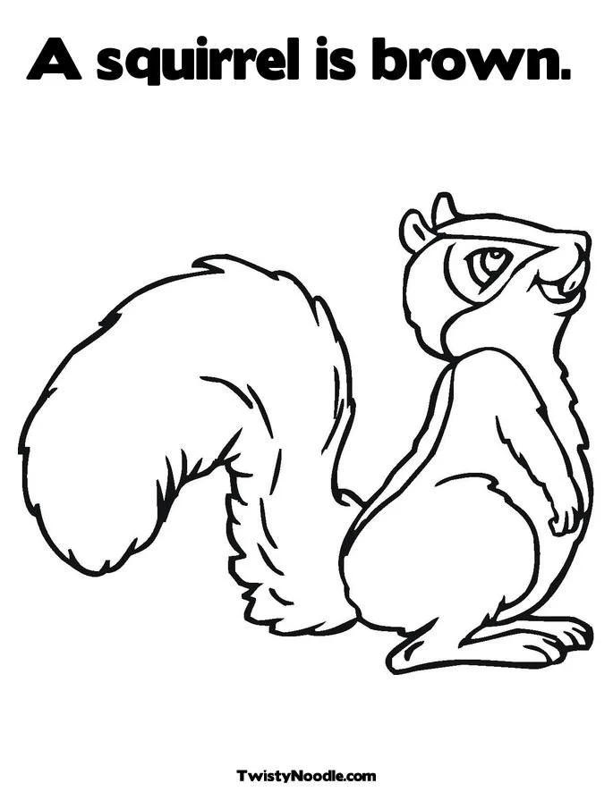 Squirrel Coloring Pages 24