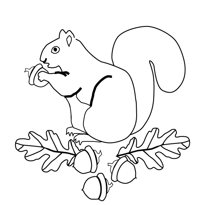 Squirrel Coloring Pages 26