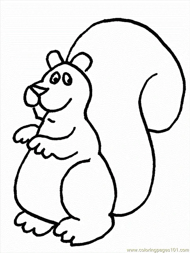 Squirrel Coloring Pages 27