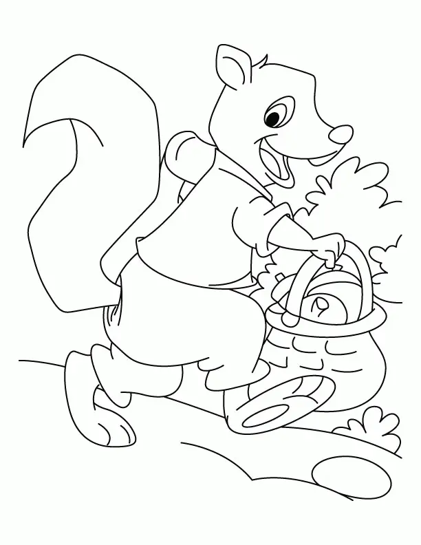 Squirrel Coloring Pages 35