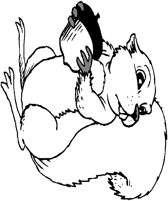 Squirrel Coloring Pages 38