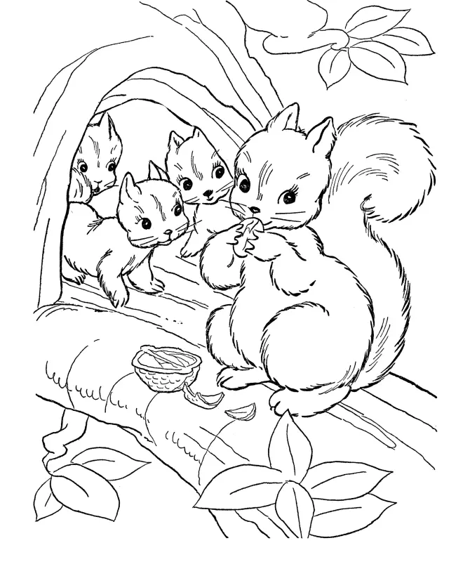 Squirrel Coloring Pages 4