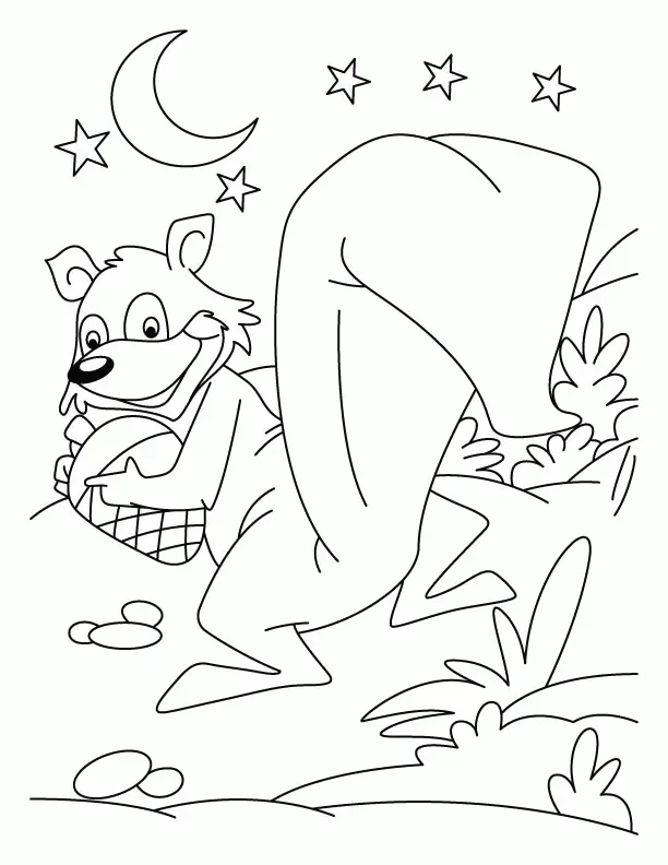 Squirrel Coloring Pages 40