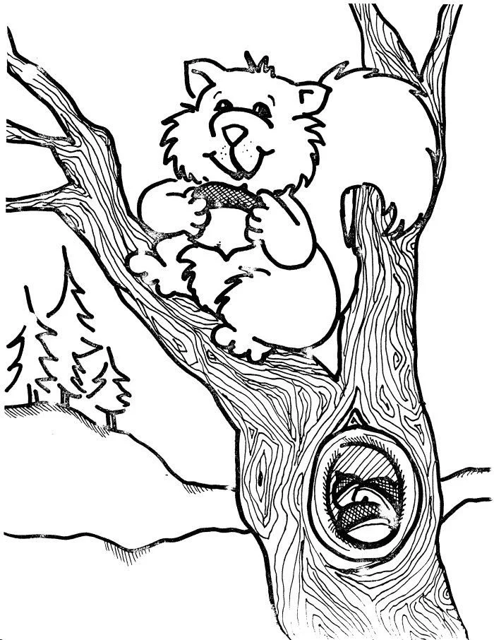 Squirrel Coloring Pages 45