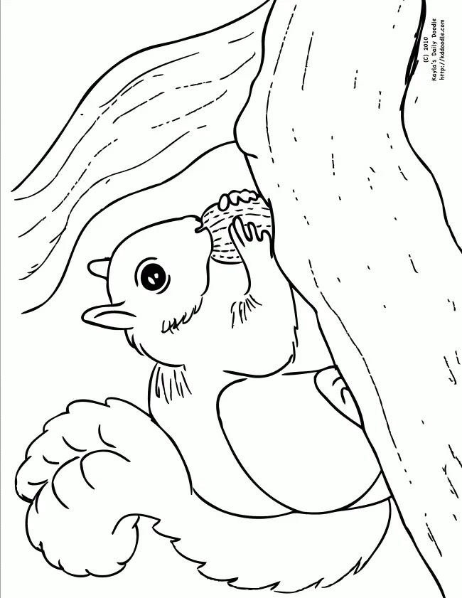 Squirrel Coloring Pages 47