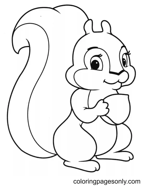 Eichhörnchen Ausmalbilder 56