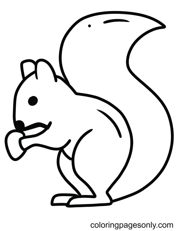 Desenhos de Esquilo Para Colorir 57