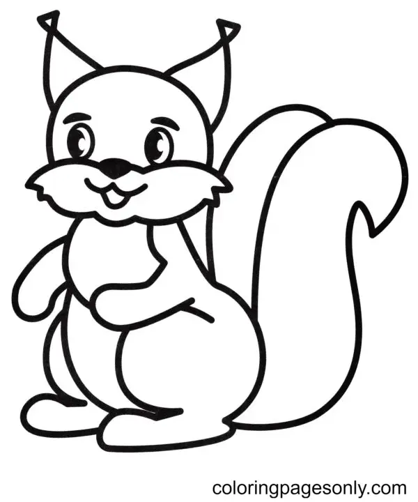 Squirrel Coloring Pages 69