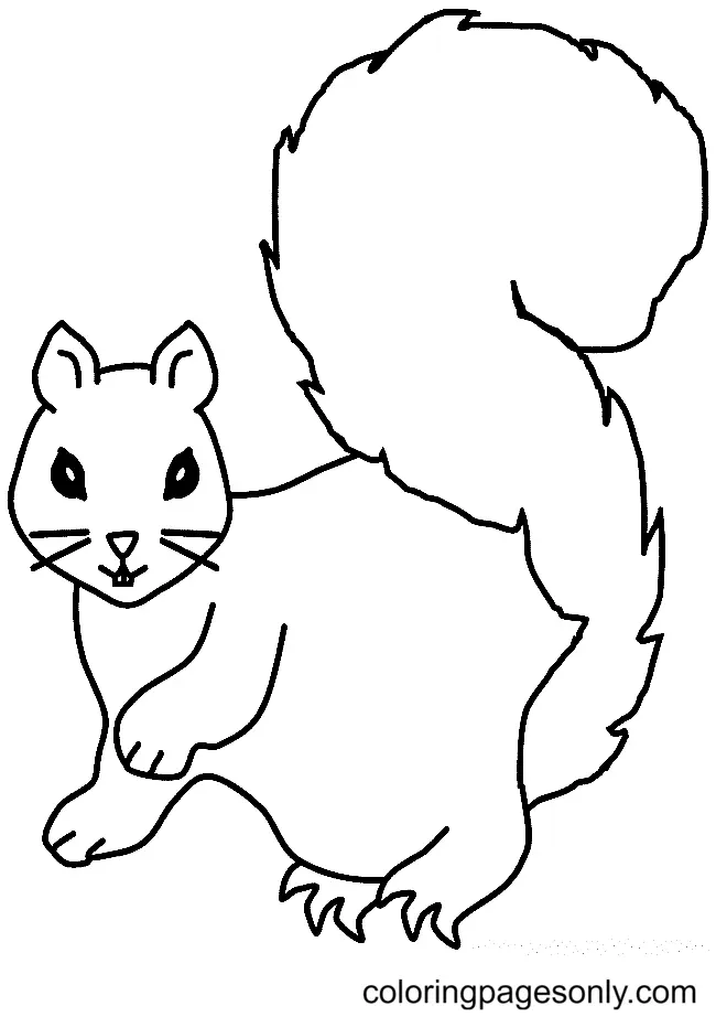 Eichhörnchen Ausmalbilder 72