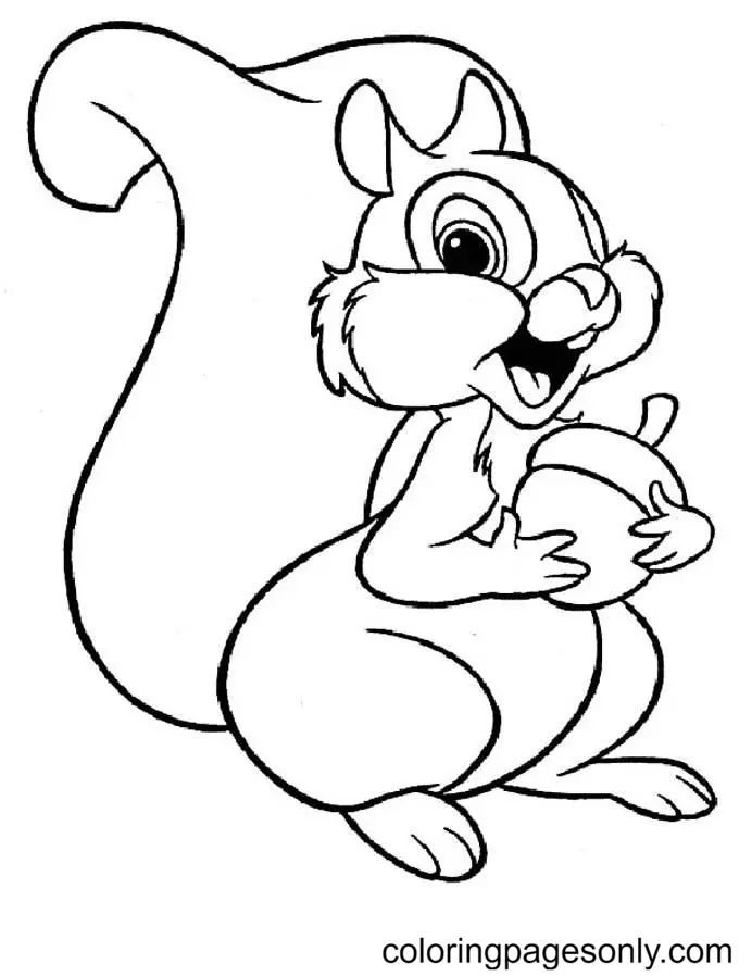 Squirrel Coloring Pages 77