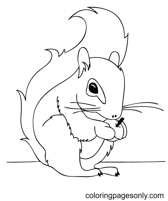 Squirrel Coloring Pages 90