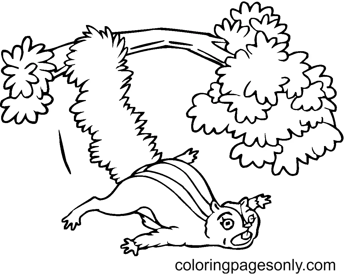 Squirrel Coloring Pages 97