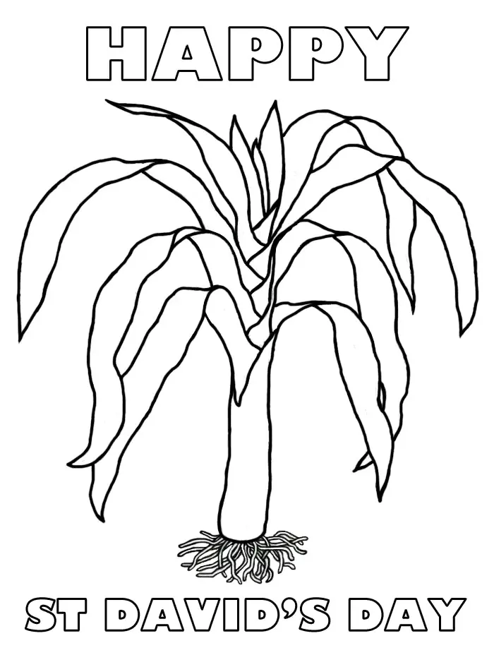 St David s Day Coloring Pages