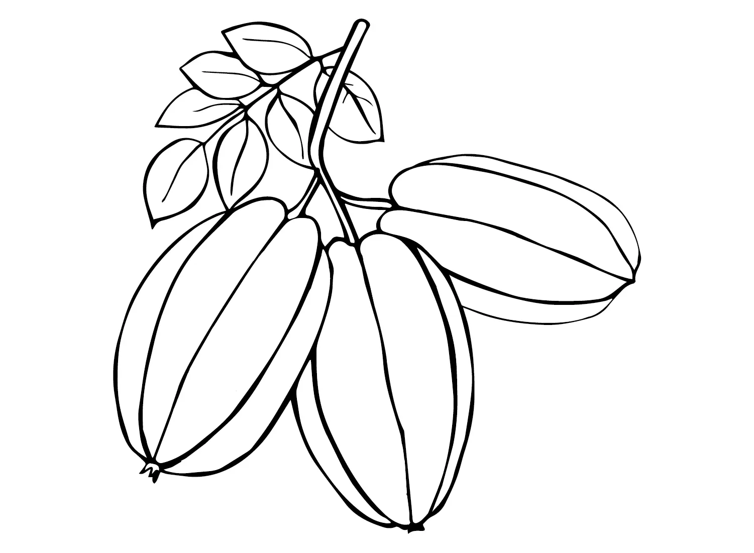 Star Fruit Coloring Pages 16