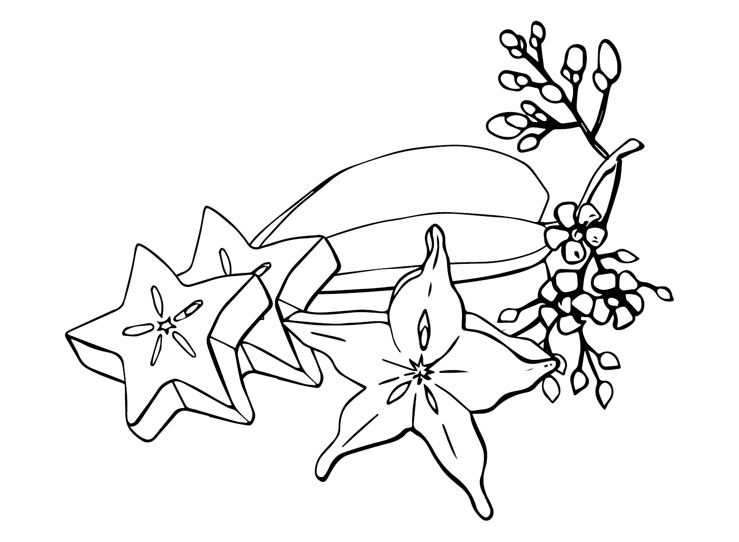 Star Fruit Coloring Pages 26