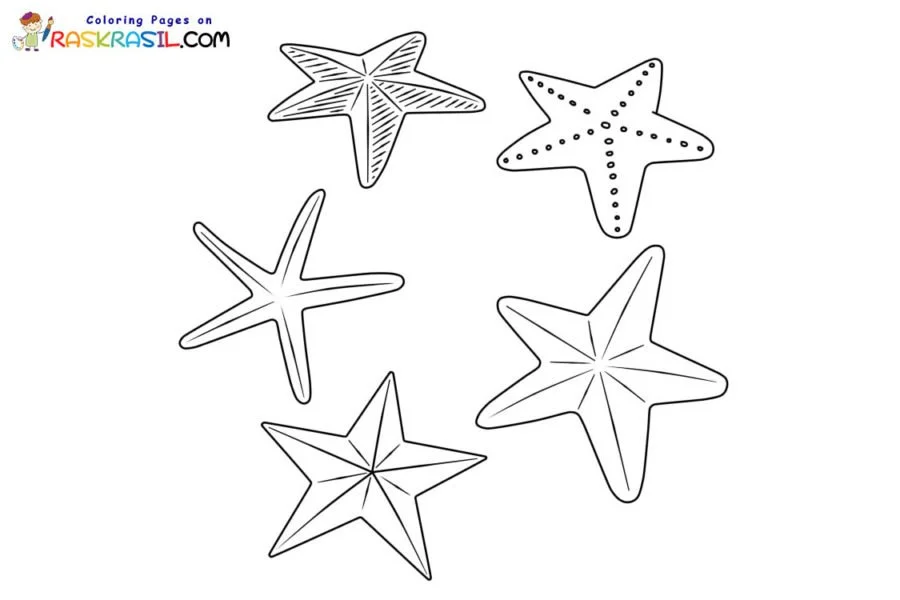 Starfish Coloring Pages 43