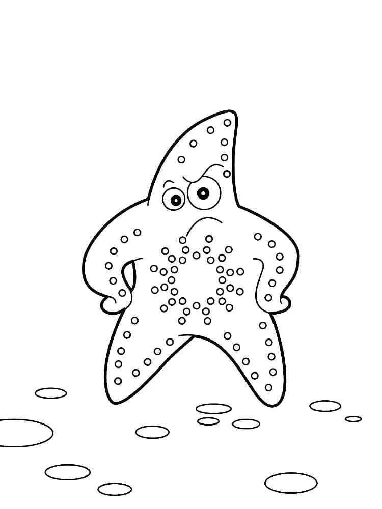 Starfish Coloring Pages 60