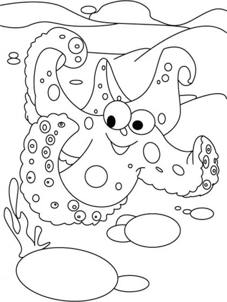 Starfish Coloring Pages 73