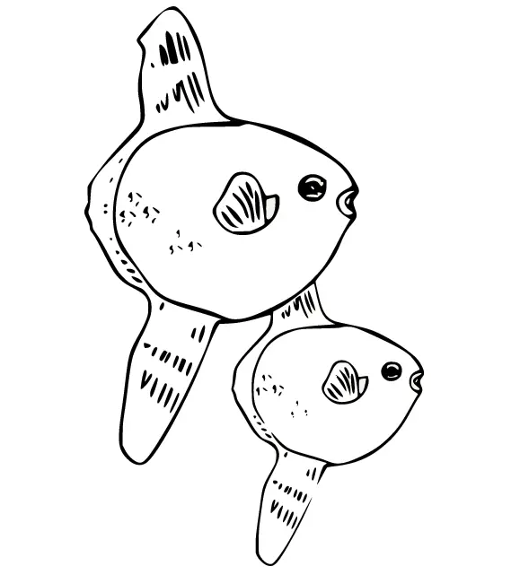 Desenhos de Peixe-Lua Para Colorir