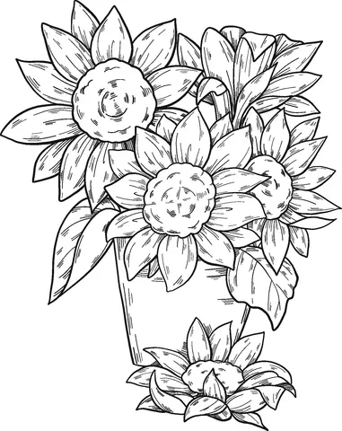 Girasol Para Colorear 14