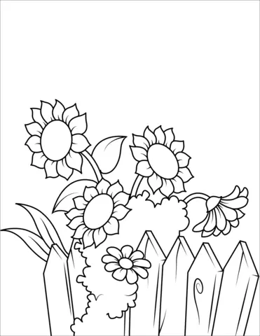 Sunflower Coloring Pages 27