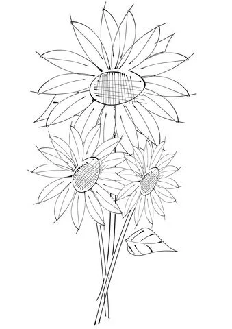 Sunflower Coloring Pages 30