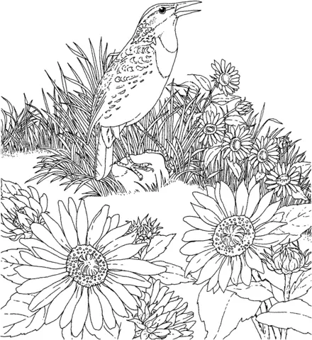 Sunflower Coloring Pages 33