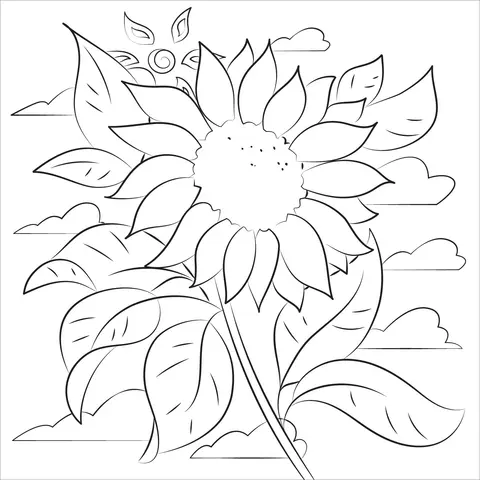 Sunflower Coloring Pages 37