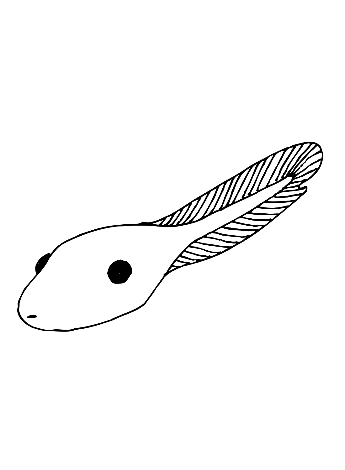 Tadpole Coloring Pages 13