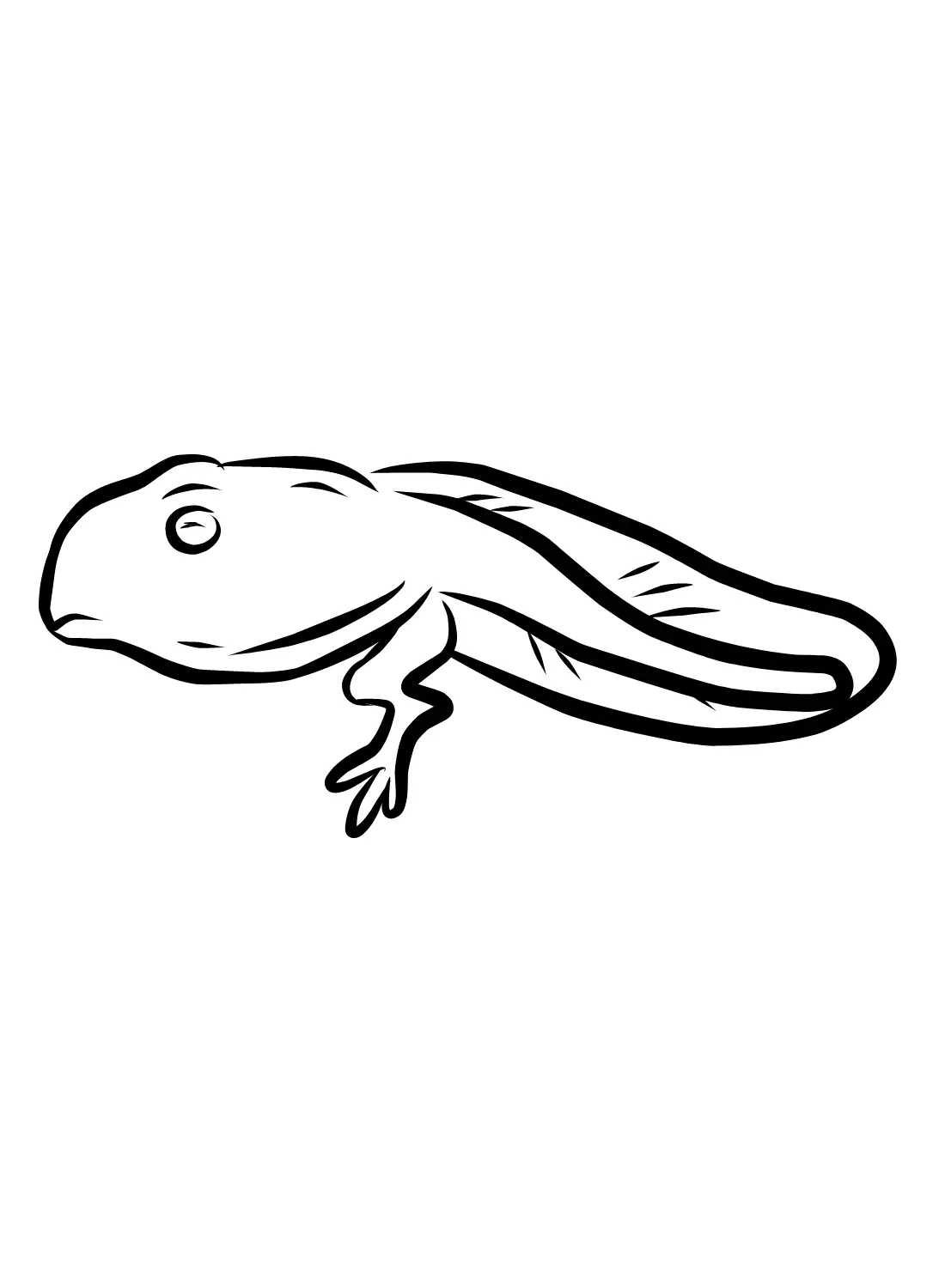 Tadpole Coloring Pages 17