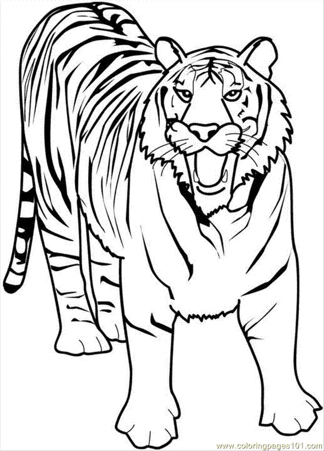 Tiger Coloring Pages 110