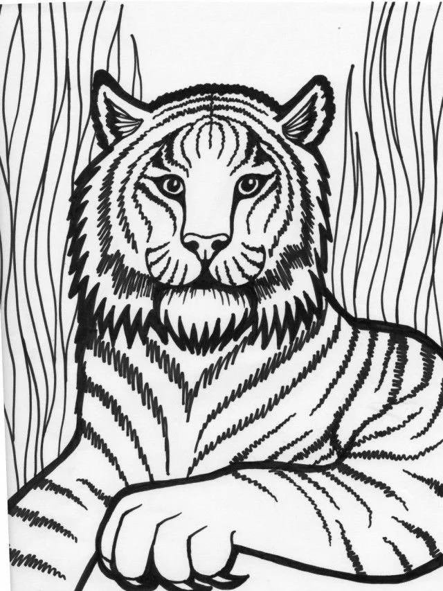 Desenhos de Tigre Para Colorir 115