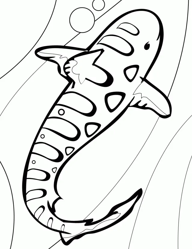 Tiger Coloring Pages 116