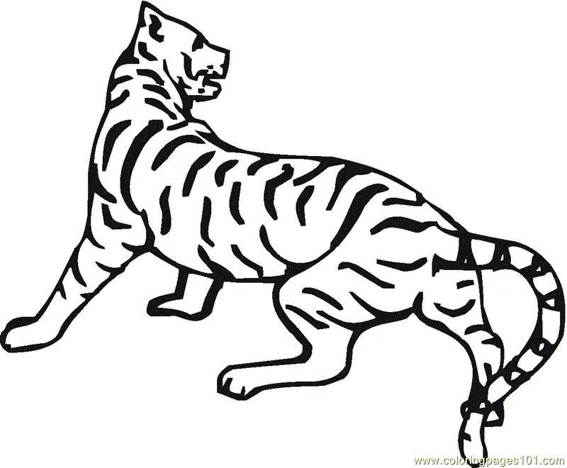 Tiger Coloring Pages 122