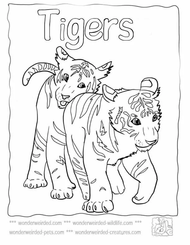 Desenhos de Tigre Para Colorir 141