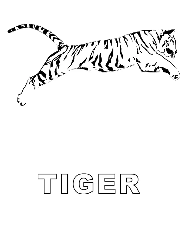 Desenhos de Tigre Para Colorir 49