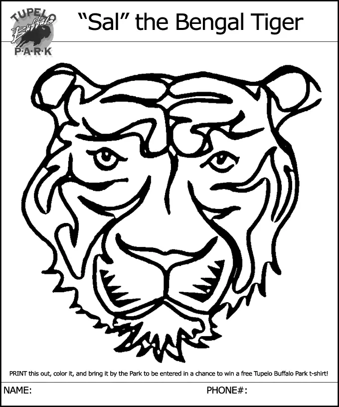 Desenhos de Tigre Para Colorir 81