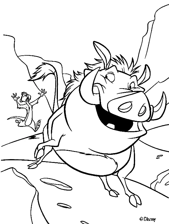 Desenhos de Timao e Pumba Para Colorir 34