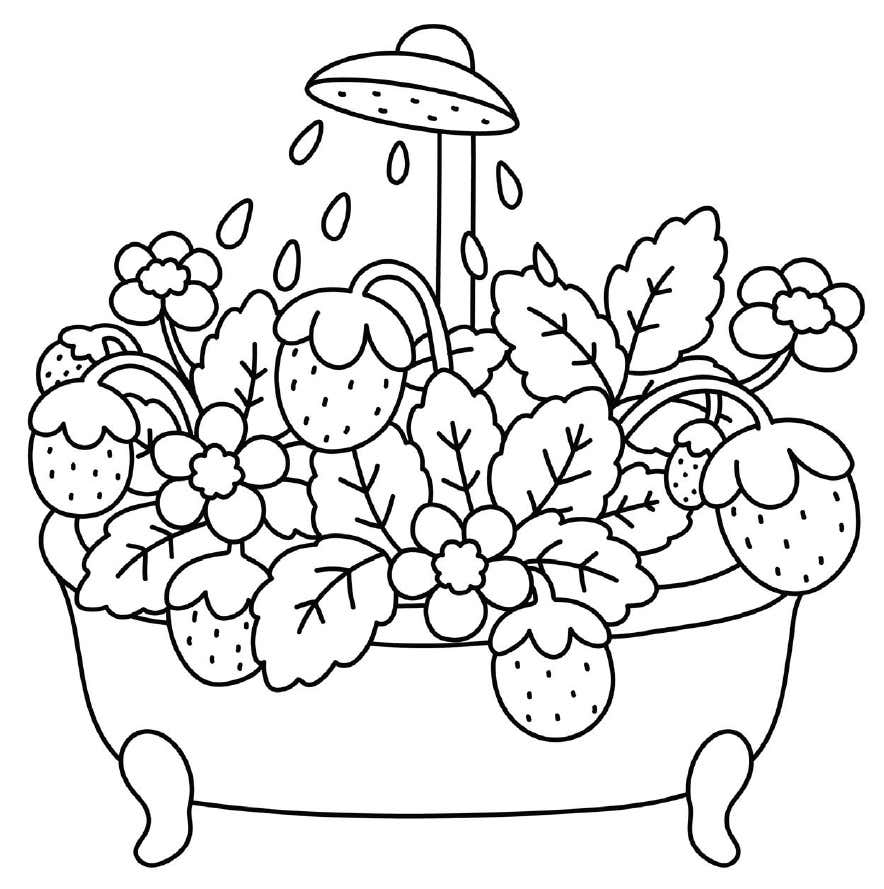 Digitale Ausmalbilder Kleine Garten 20