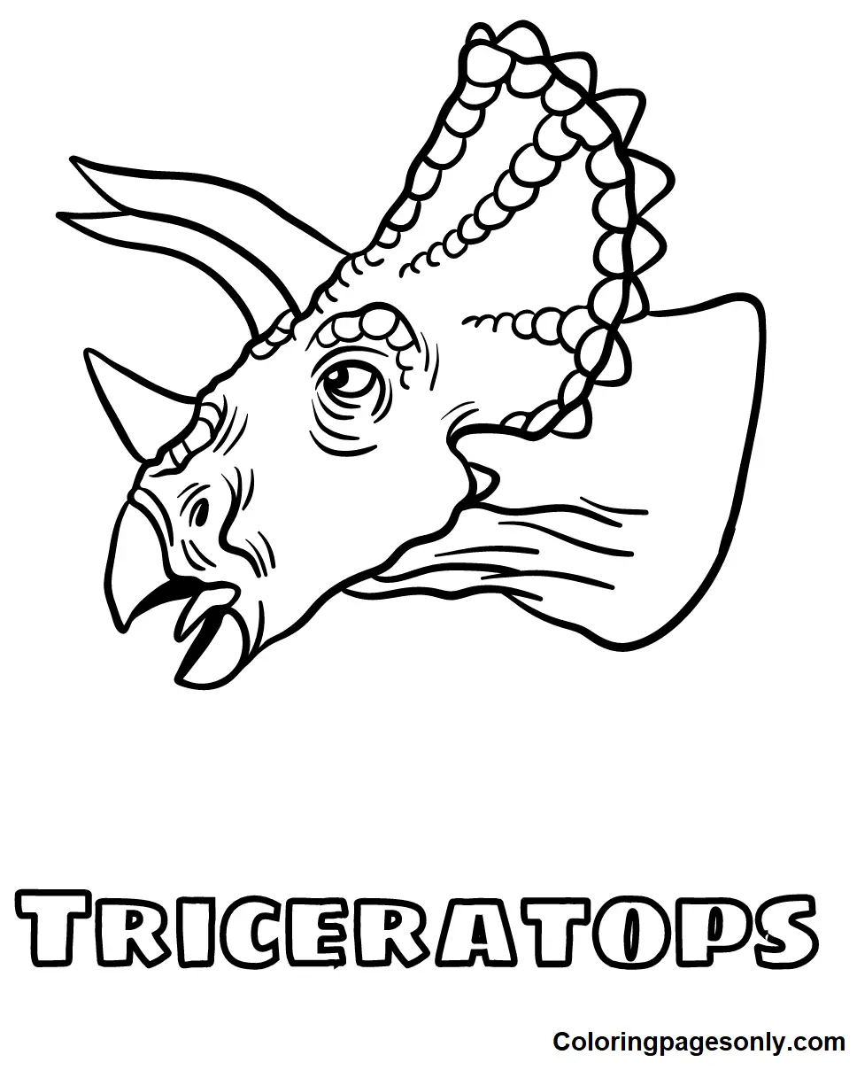 Desenhos de Triceratops Para Colorir 30