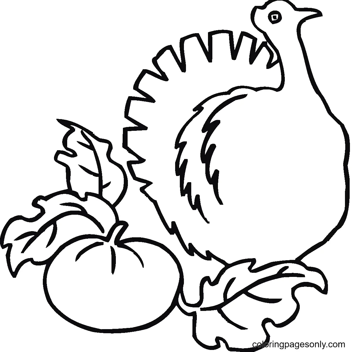 Turkey Coloring Pages 26