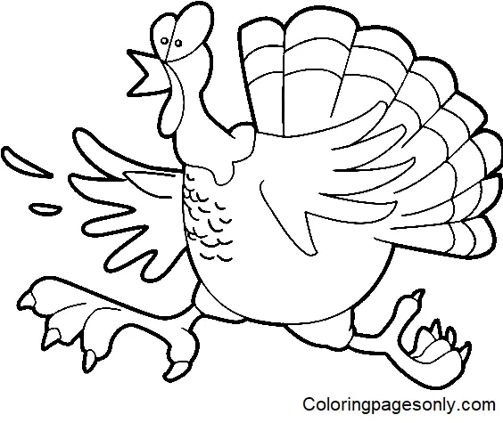 Turkey Coloring Pages 43