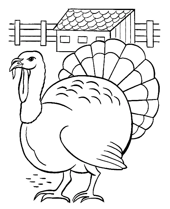 Desenhos de Turkey Para Colorir