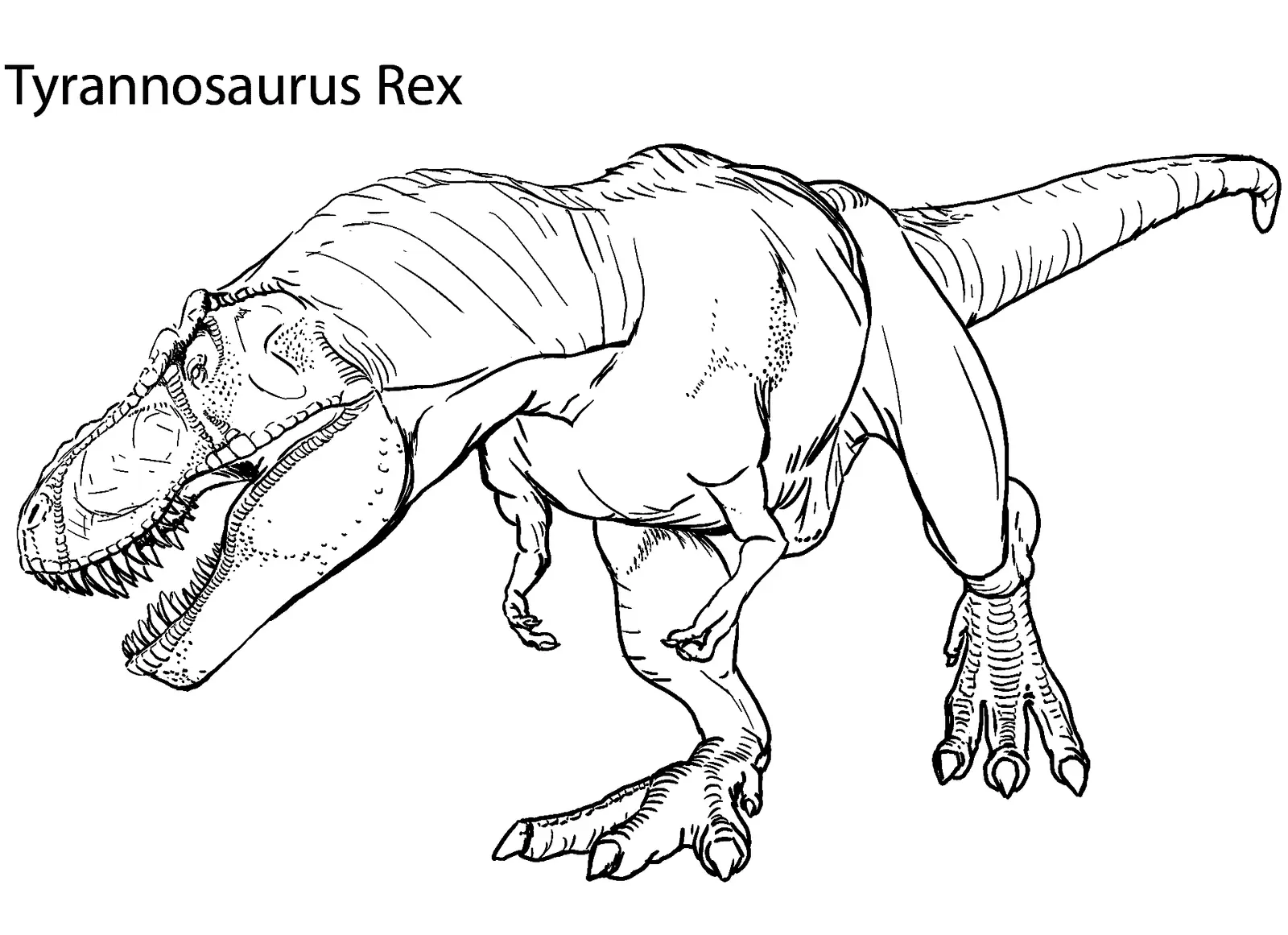 Desenhos de Tiranossauro Para Colorir 3