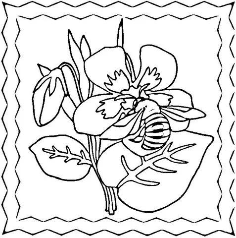 Violet Coloring Pages 16