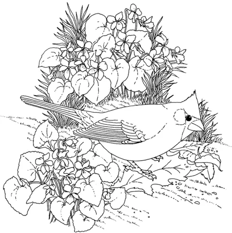 Violet Coloring Pages 21