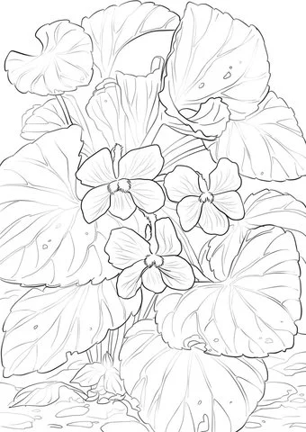 Violet Coloring Pages 24