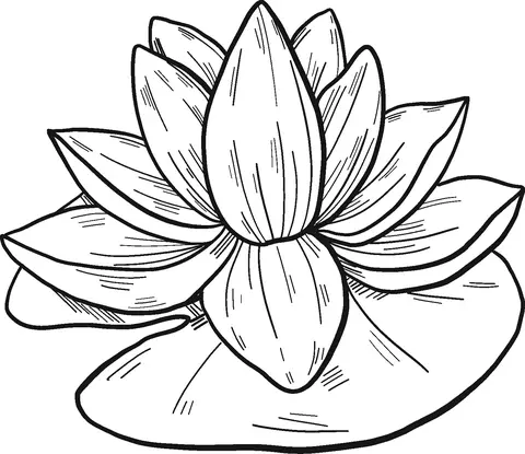 Water lily Coloring Pages 19