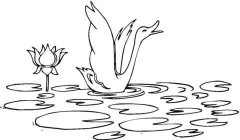 Water lily Coloring Pages 33