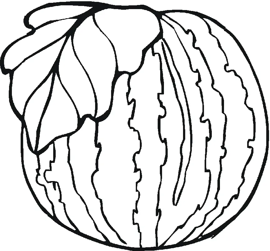 Watermelon Coloring Pages 47